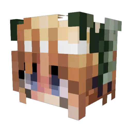 walkinglands Minecraft avatar head, 3D render