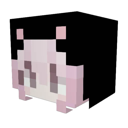 walkingrandoms Minecraft avatar head, 3D render