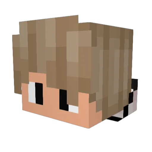 wallacySales Minecraft avatar head, 3D render