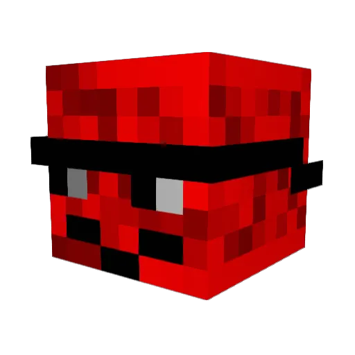 wallcat14 Minecraft avatar head, 3D render