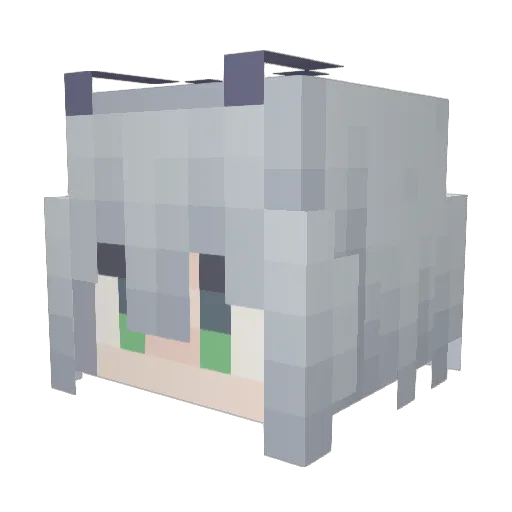 wallfish7 Minecraft avatar head, 3D render