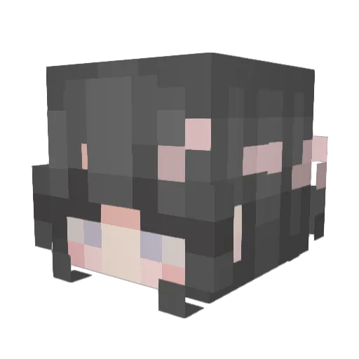 wallflower6000 Minecraft avatar head, 3D render