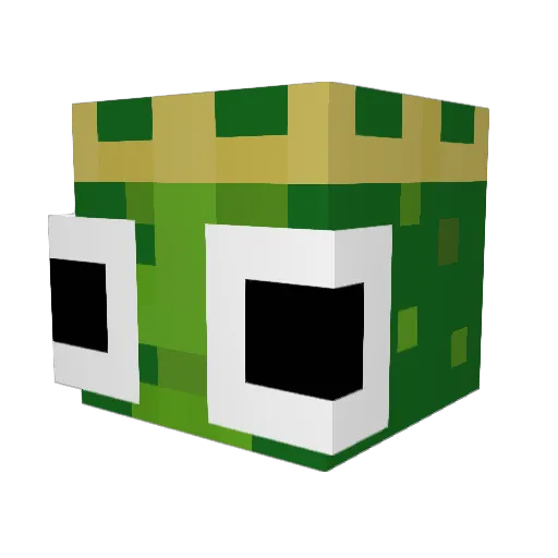 wallibeartje Minecraft avatar head, 3D render