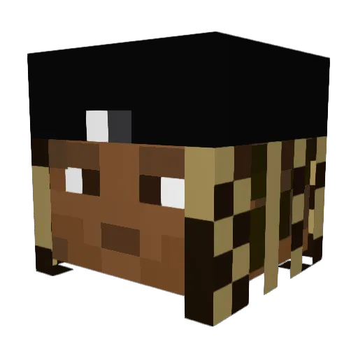 wallrappes Minecraft avatar head, 3D render