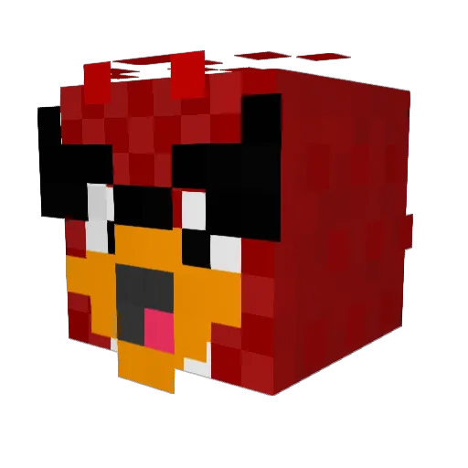 wallybird13 Minecraft avatar head, 3D render