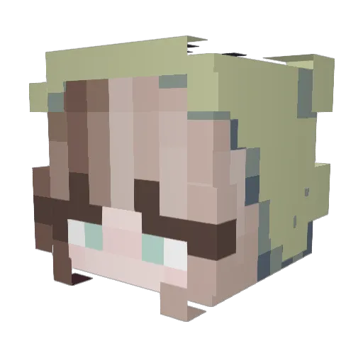 wallyswife Minecraft avatar head, 3D render