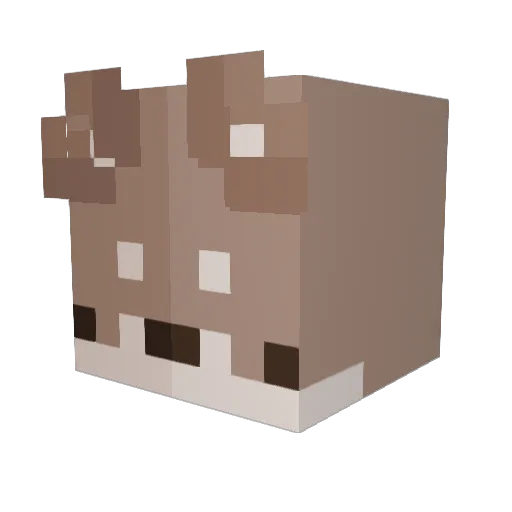 walnuts0 Minecraft avatar head, 3D render