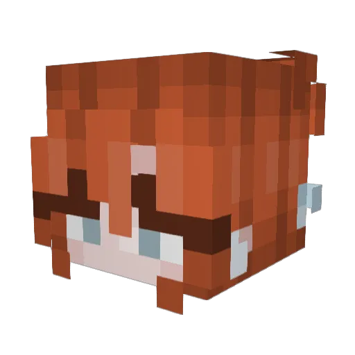 walshy0806 Minecraft avatar head, 3D render