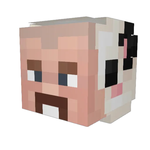 walterjones1962 Minecraft avatar head, 3D render