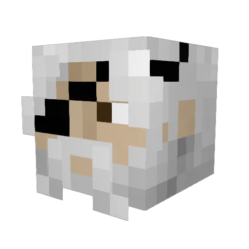 waltonaaron Minecraft avatar head, 3D render