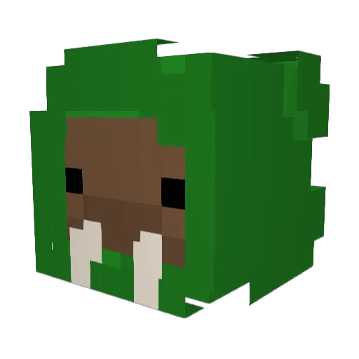 walwuses_ Minecraft avatar head, 3D render