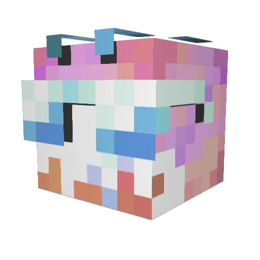 wamertelon Minecraft avatar head, 3D render
