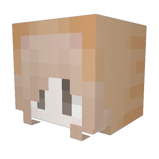 wamo2high Minecraft avatar head, 3D render