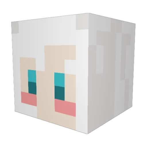 wampo Minecraft avatar head, 3D render