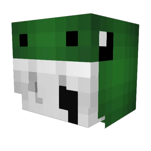 wan_an_123 Minecraft avatar head, 3D render