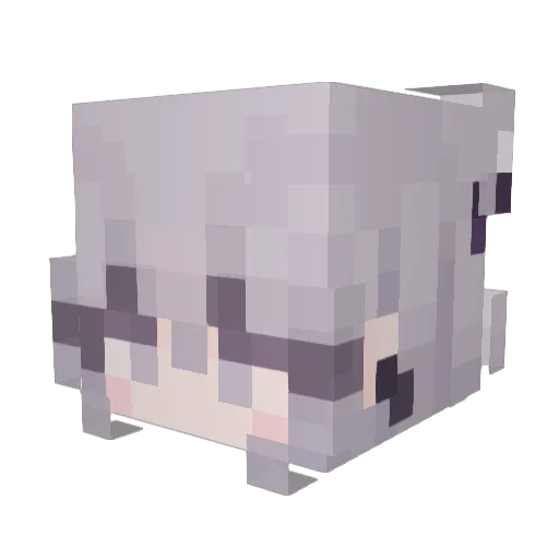 wancoroUwU Minecraft avatar head, 3D render