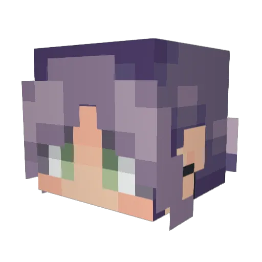 wander_rabbits Minecraft avatar head, 3D render