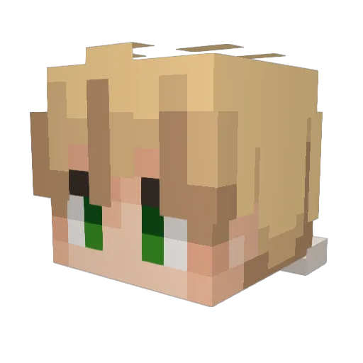 wanderr_ Minecraft avatar head, 3D render