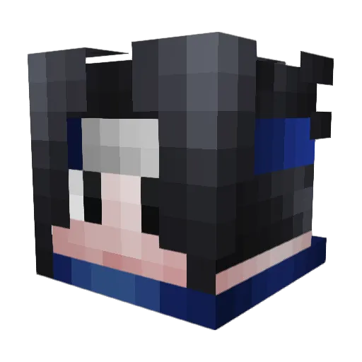 wandon Minecraft avatar head, 3D render