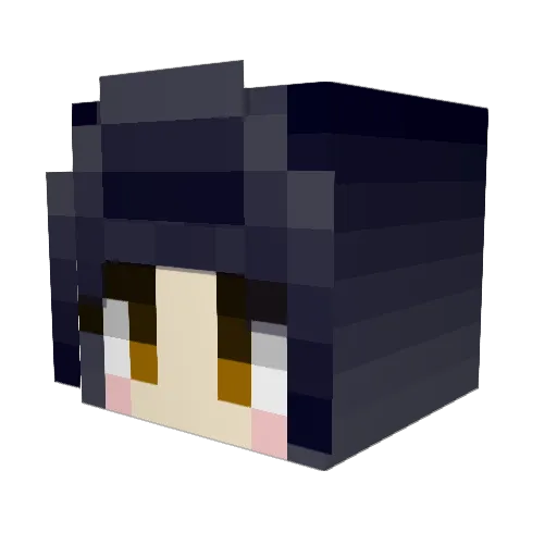 wandp Minecraft avatar head, 3D render