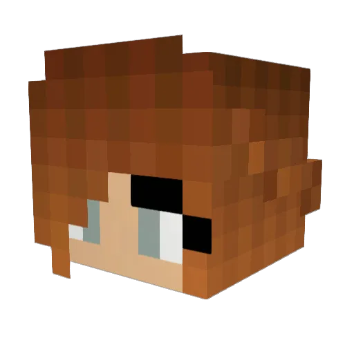 wandress Minecraft avatar head, 3D render