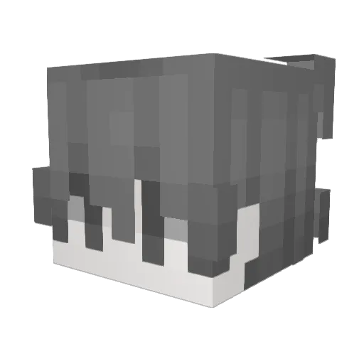 wang2341 Minecraft avatar head, 3D render