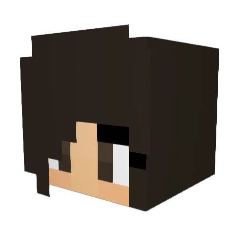 wang_joyce Minecraft avatar head, 3D render