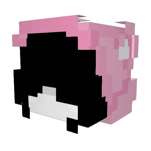wangdaye007 Minecraft avatar head, 3D render