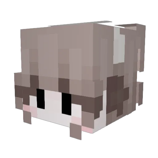 wangjiuer Minecraft avatar head, 3D render