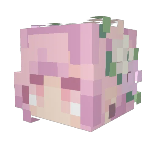wangting555 Minecraft avatar head, 3D render