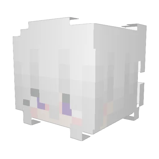 wangyibin123 Minecraft avatar head, 3D render
