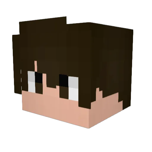 wanistiNN Minecraft avatar head, 3D render
