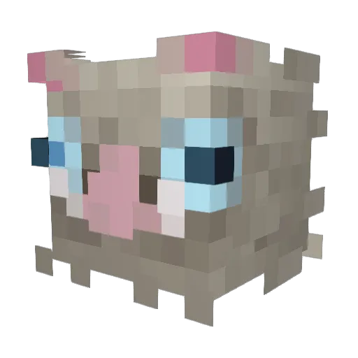 wanmeow Minecraft avatar head, 3D render