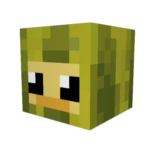 wannabehers Minecraft avatar head, 3D render