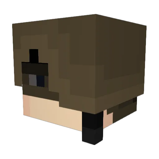 wanny9999 Minecraft avatar head, 3D render