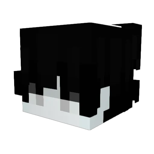 want9 Minecraft avatar head, 3D render