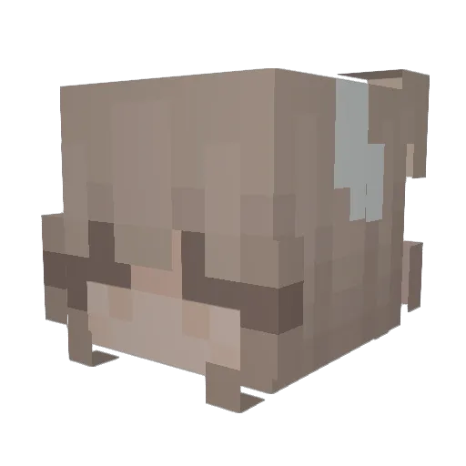 wantsomefungus Minecraft avatar head, 3D render