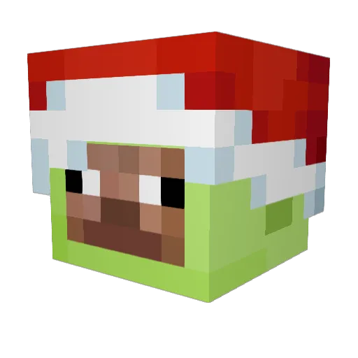 wanvi Minecraft avatar head, 3D render