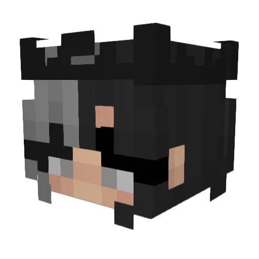 wanxi225 Minecraft avatar head, 3D render