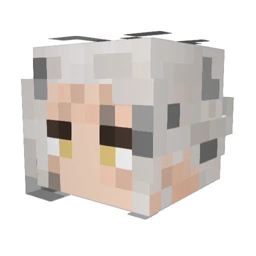 wapadrapa Minecraft avatar head, 3D render