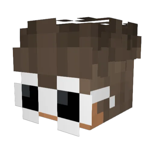 wappl3 Minecraft avatar head, 3D render