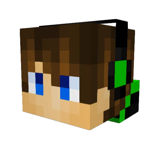 wapster1 Minecraft avatar head, 3D render