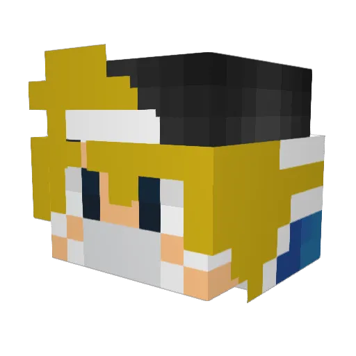 wapwap49 Minecraft avatar head, 3D render
