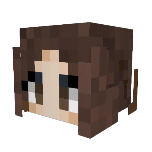 waqez_2 Minecraft avatar head, 3D render
