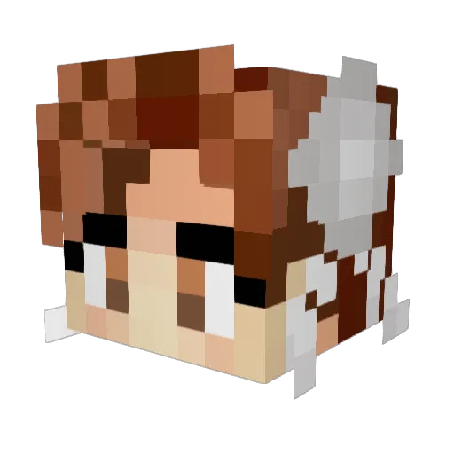 warax24 Minecraft avatar head, 3D render