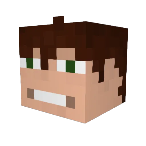 ward5 Minecraft avatar head, 3D render