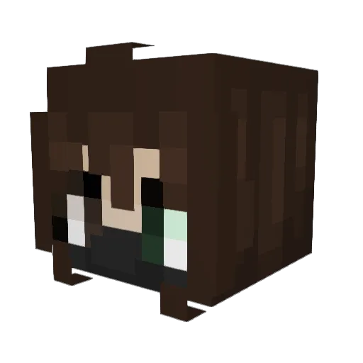 wardamnlanda Minecraft avatar head, 3D render
