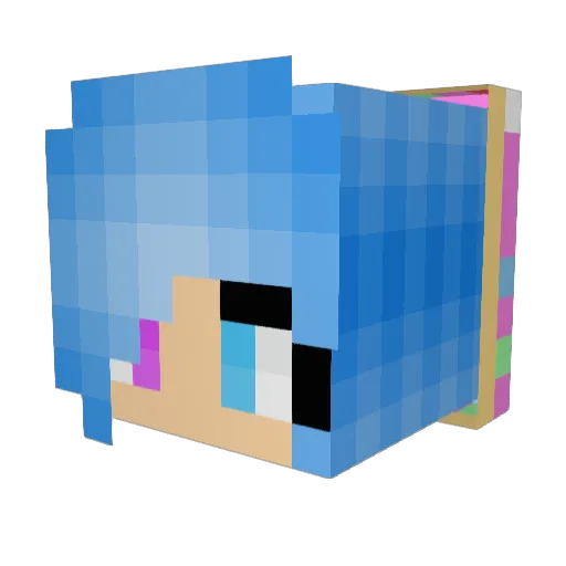 wardedsnow Minecraft avatar head, 3D render