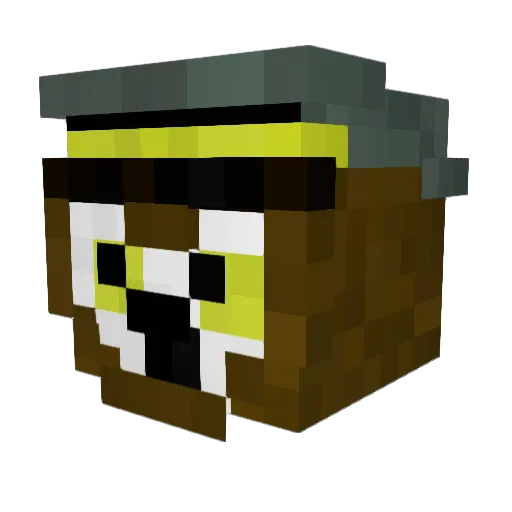 warden0621 Minecraft avatar head, 3D render