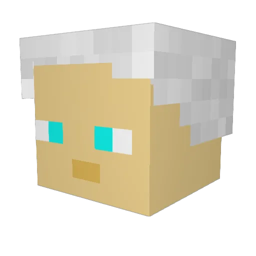 wardenski Minecraft avatar head, 3D render